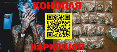 сатива Сланцы