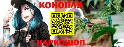 сатива Сланцы