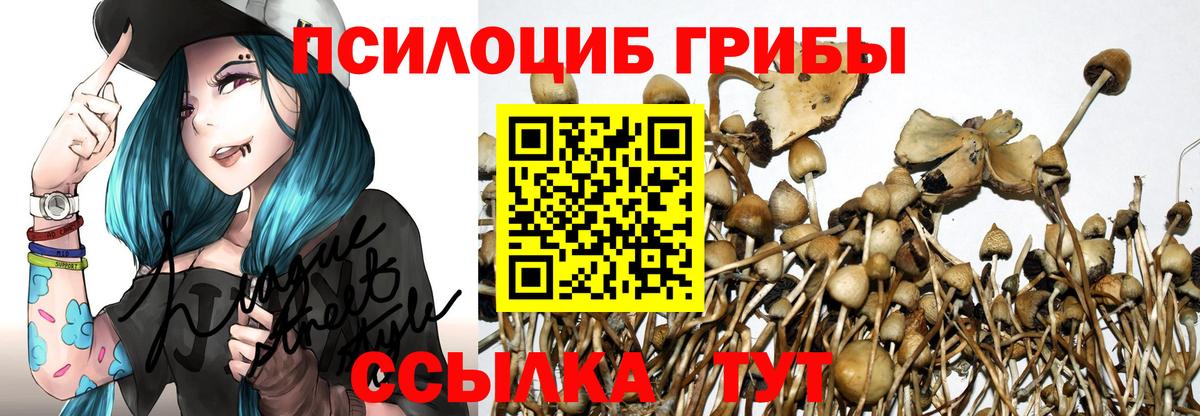 Кострома  Псилоцибиновые грибы мицелий  Галлюциногенные грибы MAGIC MUSHROOMS  Вход с VPN 