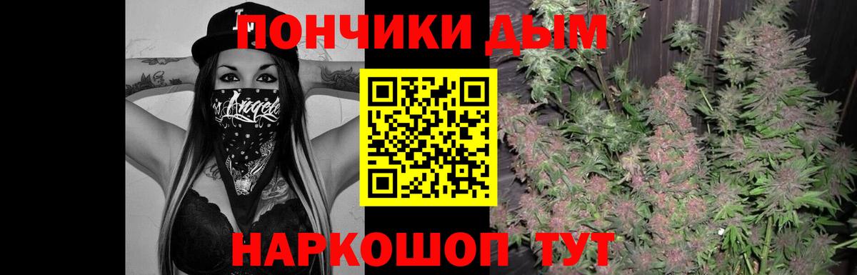 Бошки Шишки Amnesia Кострома